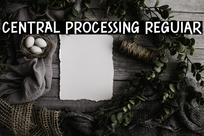 CENTRAL PROCESSING Regular Example 2