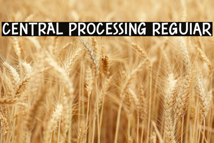 CENTRAL PROCESSING Regular Example 3