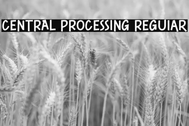 CENTRAL PROCESSING Regular Font examples