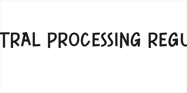 CENTRAL PROCESSING Regular Logo