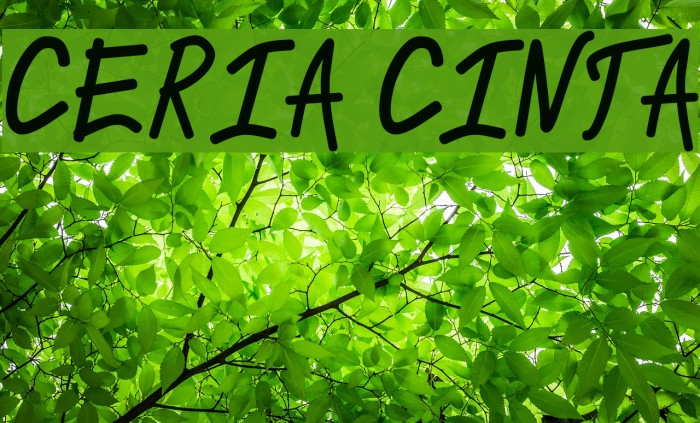 CERIA CINTA Font examples
