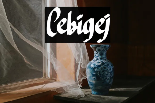 Cebigej Example 1