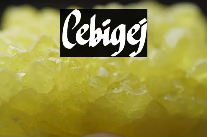 Cebigej Example 2