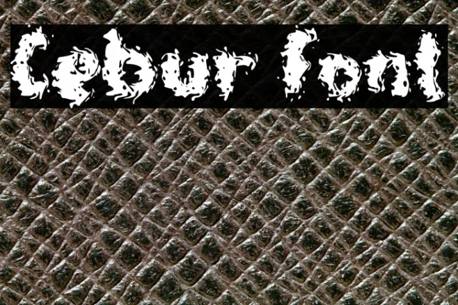 Cebur Example 3
