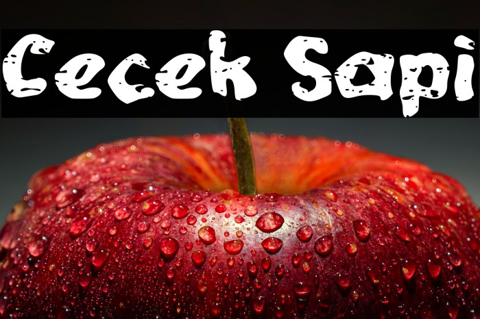 Cecek Sapi Example 1