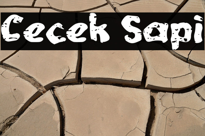 Cecek Sapi Example 2