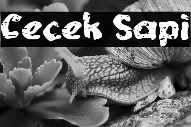 Cecek Sapi Font examples