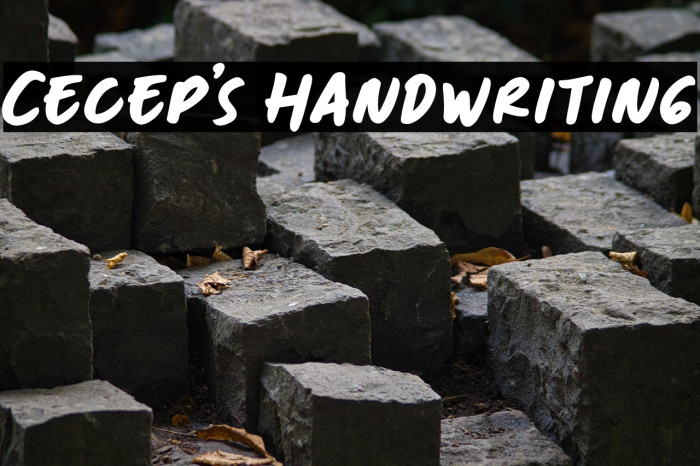 Cecep's Handwriting Example 2