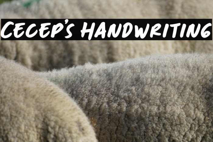 Cecep's Handwriting Example 3