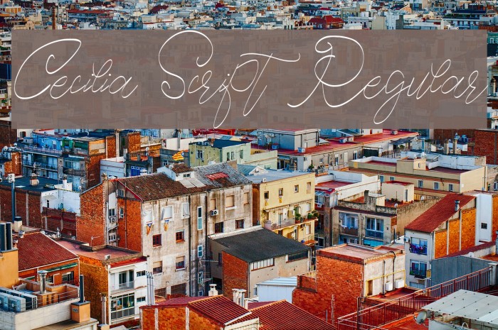Cecilia Script Regular Font examples