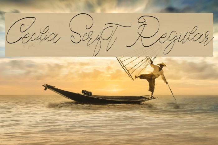 Cecilia Script Regular Font examples