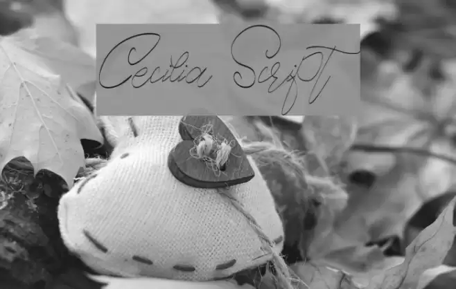 Cecilia Script Font examples