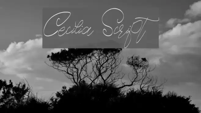 Cecilia Script Font examples