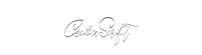 CeciliaScript  Скачать бесплатные шрифты