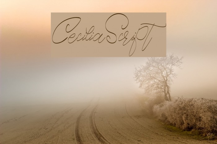 CeciliaScript Font examples