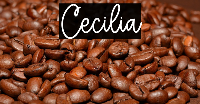 Cecilia Example 1