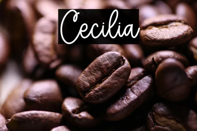 Cecilia Example 3