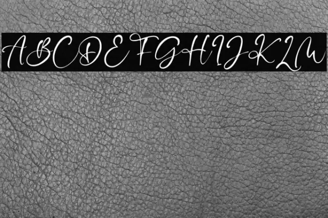 Cecillia 字体 examples