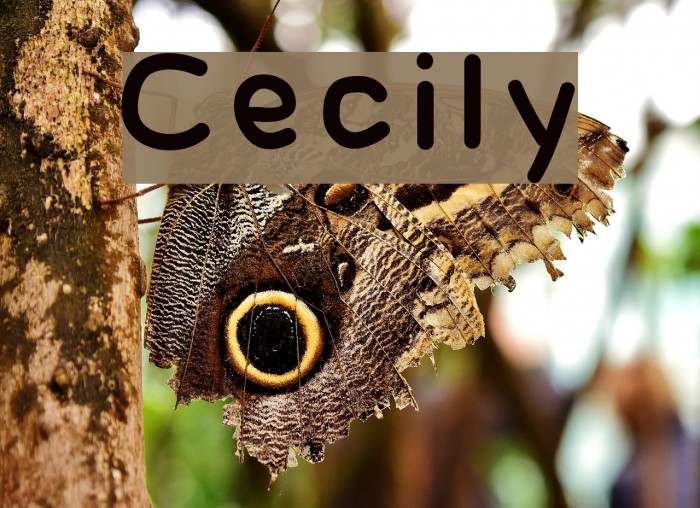 Cecily Font examples