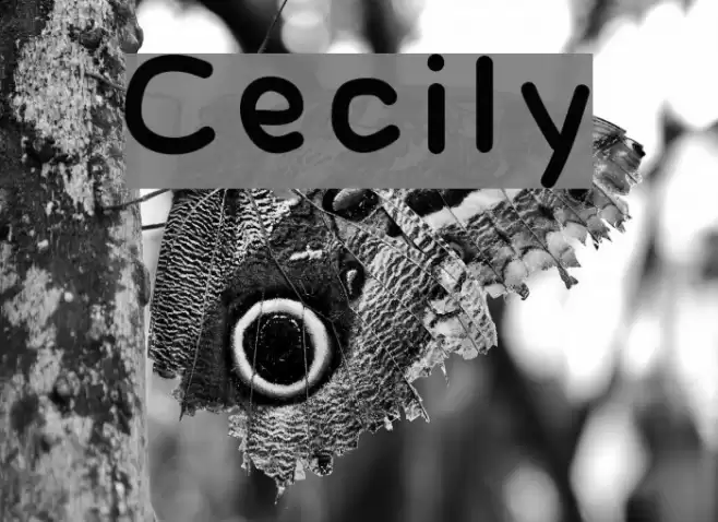Cecily フォント examples