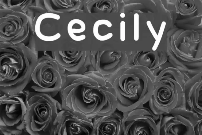 Cecily フォント examples