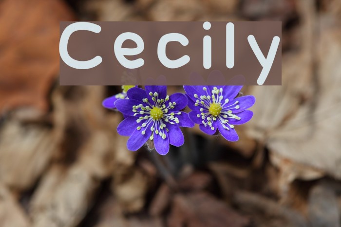 Cecily Font examples