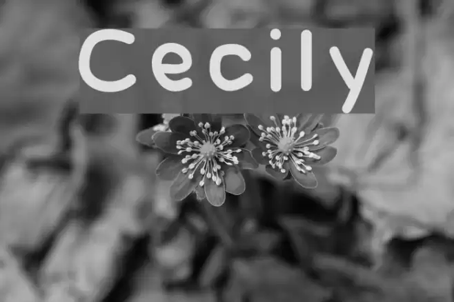 Cecily フォント examples