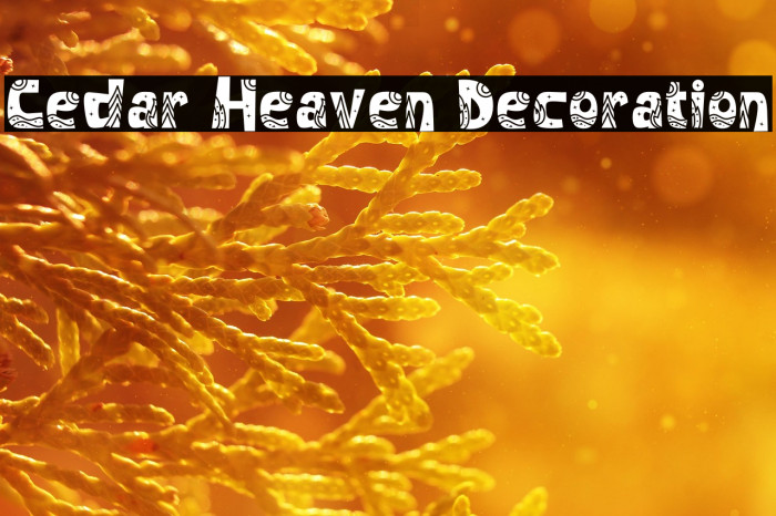 Cedar Heaven Decoration Example 2