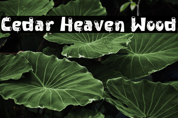 Cedar Heaven Wood Example 1