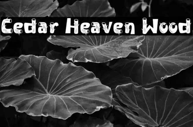Cedar Heaven Wood Font examples