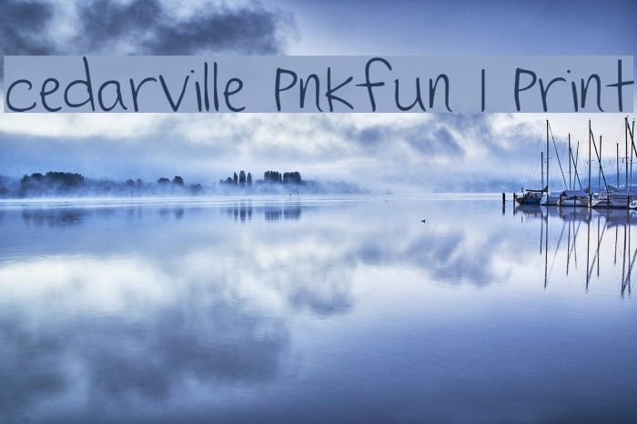 Cedarville Pnkfun 1 Print Example 1
