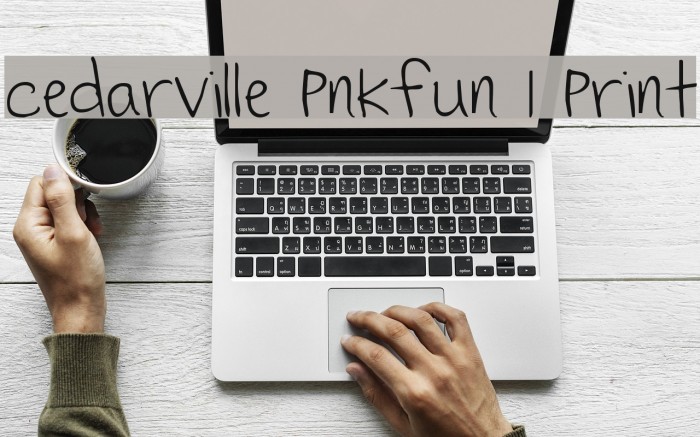 Cedarville Pnkfun 1 Print Example 2