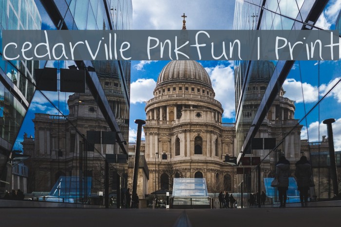 Cedarville Pnkfun 1 Print Example 3