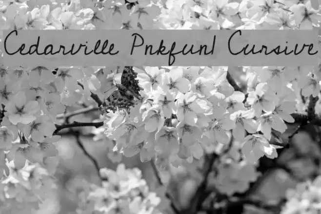 Cedarville Pnkfun1 Cursive Font examples