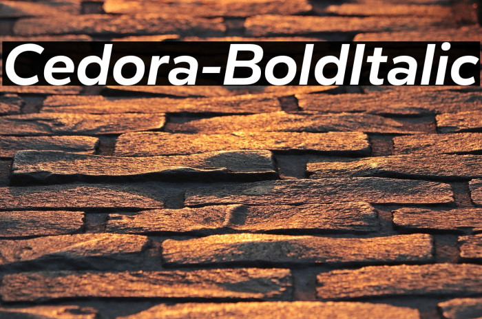 Cedora-BoldItalic Example 2