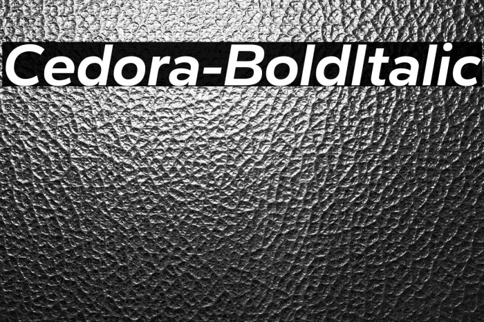 Cedora-BoldItalic Example 3
