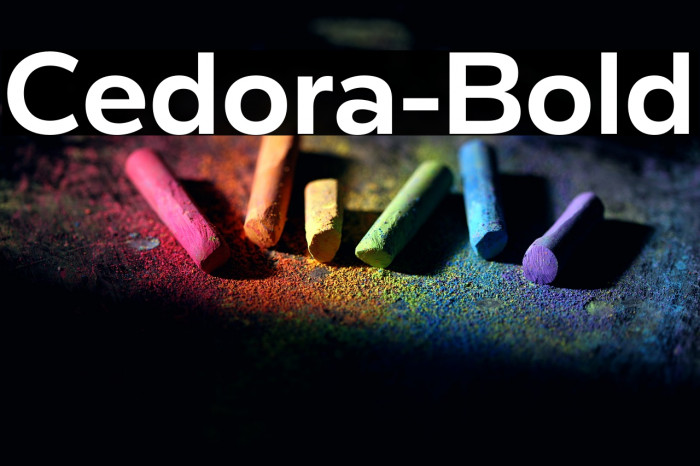Cedora-Bold Example 1