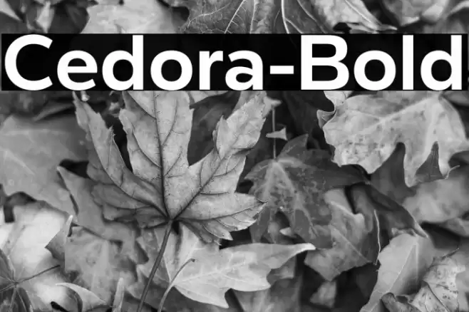 Cedora-Bold Font examples