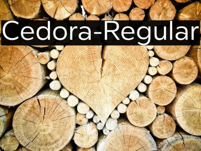 Cedora-Regular Example 1