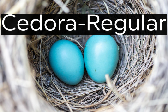 Cedora-Regular Example 2