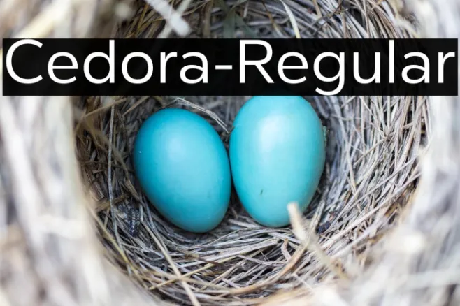 Cedora-Regular Example 2