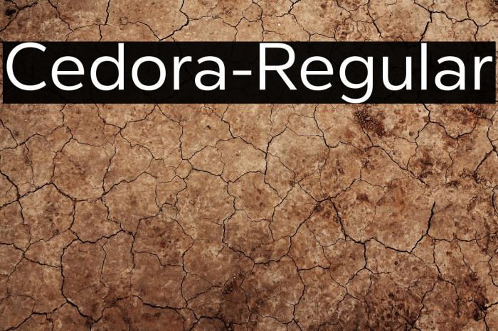 Cedora-Regular Example 3