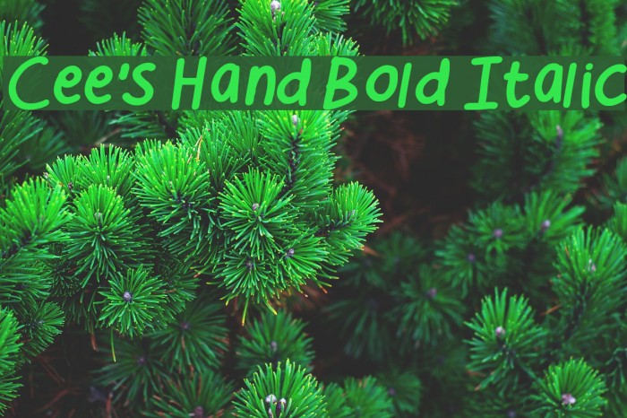 Cee's Hand Bold Italic Font examples