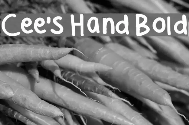 Cee's Hand Bold Font examples