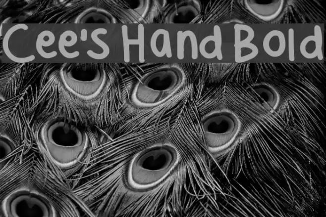 Cee's Hand Bold Font examples