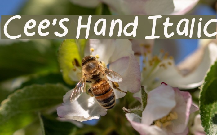 Cee's Hand Italic Font examples