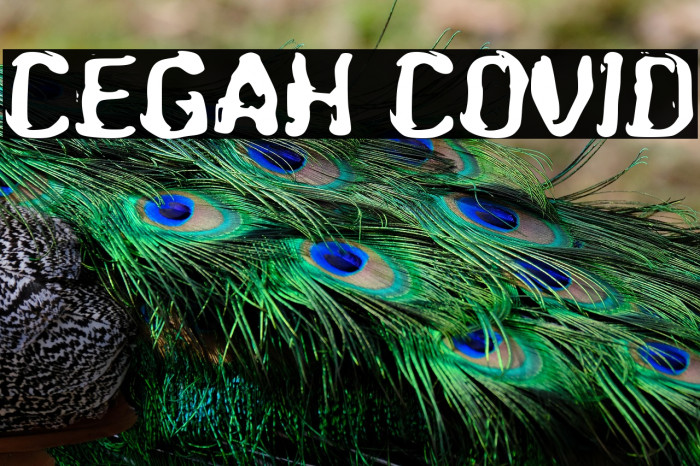 Cegah Covid Example 1