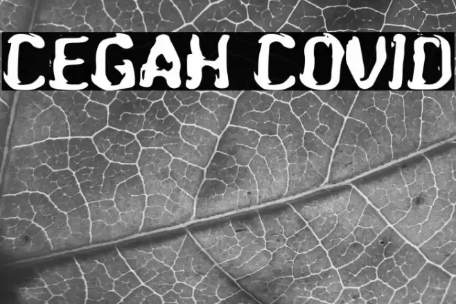 Cegah Covid Font examples