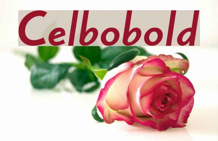 Celbobold Schriftart examples