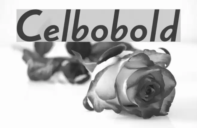 Celbobold Schriftart examples